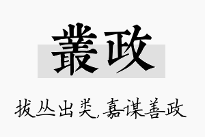 丛政名字的寓意及含义