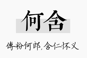 何含名字的寓意及含义