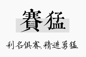 赛猛名字的寓意及含义