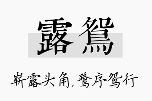 露鸳名字的寓意及含义