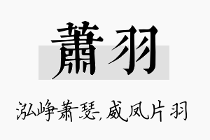 萧羽名字的寓意及含义