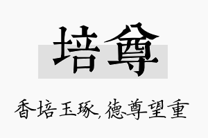 培尊名字的寓意及含义