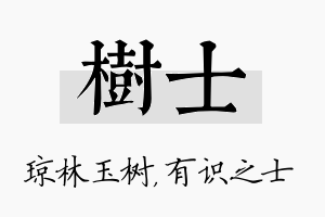 树士名字的寓意及含义