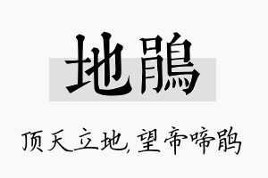 地鹃名字的寓意及含义