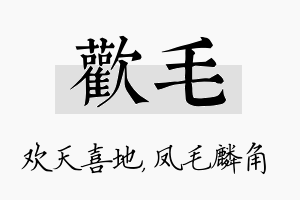 欢毛名字的寓意及含义