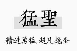 猛圣名字的寓意及含义