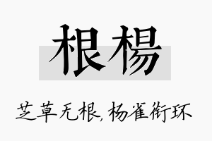 根杨名字的寓意及含义