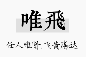 唯飞名字的寓意及含义