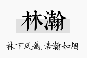 林瀚名字的寓意及含义