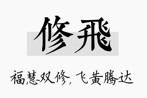 修飞名字的寓意及含义