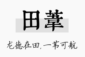 田苇名字的寓意及含义