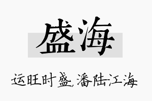 盛海名字的寓意及含义