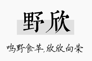 野欣名字的寓意及含义