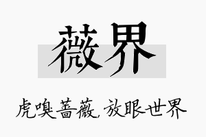 薇界名字的寓意及含义