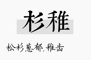 杉稚名字的寓意及含义