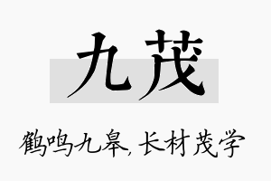 九茂名字的寓意及含义