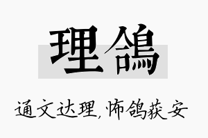 理鸽名字的寓意及含义