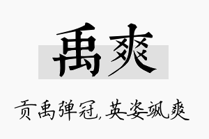 禹爽名字的寓意及含义