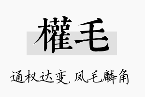 权毛名字的寓意及含义