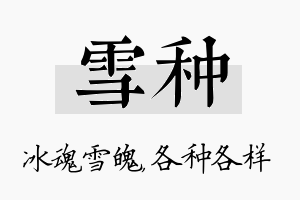 雪种名字的寓意及含义