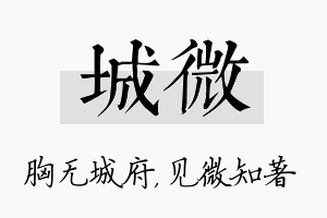 城微名字的寓意及含义