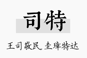 司特名字的寓意及含义