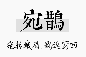 宛鹊名字的寓意及含义