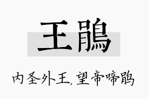 王鹃名字的寓意及含义