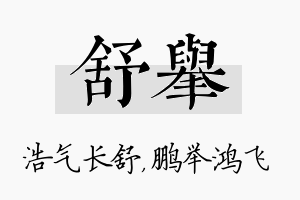 舒举名字的寓意及含义