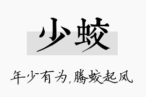 少蛟名字的寓意及含义