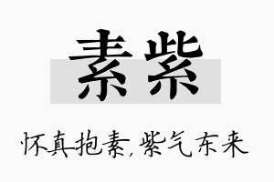 素紫名字的寓意及含义