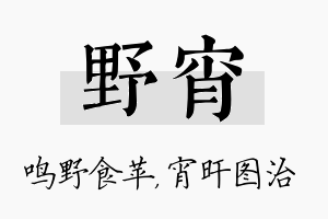 野宵名字的寓意及含义