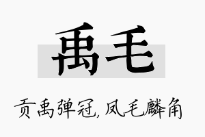 禹毛名字的寓意及含义