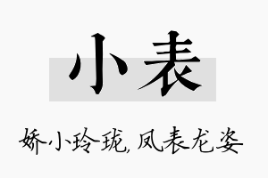 小表名字的寓意及含义