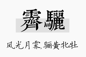 霁骊名字的寓意及含义