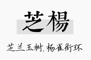 芝杨名字的寓意及含义