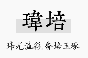 玮培名字的寓意及含义