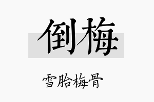 倒梅名字的寓意及含义