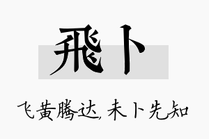 飞卜名字的寓意及含义