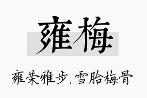 雍梅名字的寓意及含义