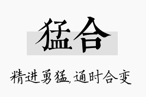 猛合名字的寓意及含义