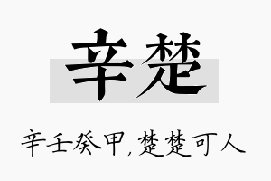 辛楚名字的寓意及含义