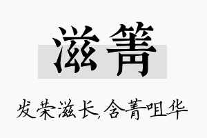 滋箐名字的寓意及含义