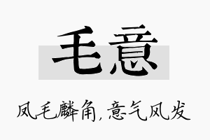 毛意名字的寓意及含义