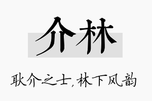 介林名字的寓意及含义