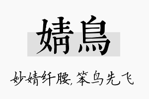 婧鸟名字的寓意及含义