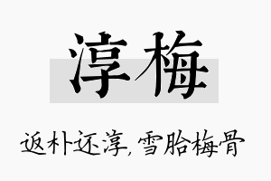 淳梅名字的寓意及含义