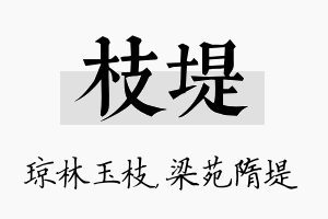 枝堤名字的寓意及含义