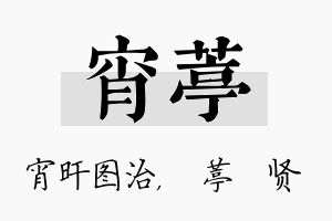 宵葶名字的寓意及含义