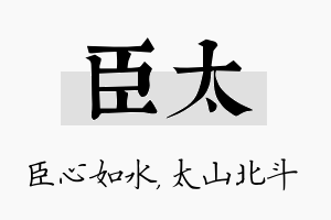 臣太名字的寓意及含义